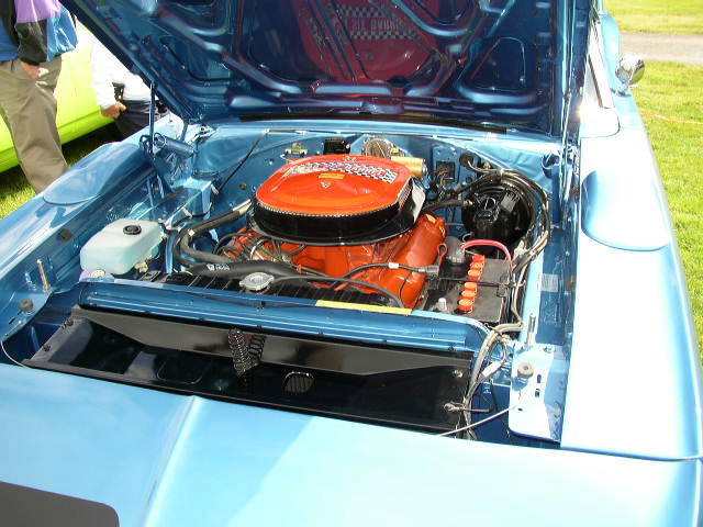 P1010021.JPG
